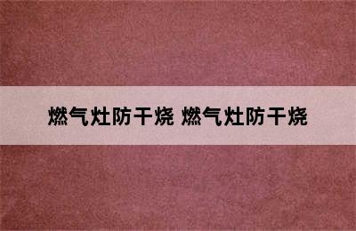 燃气灶防干烧 燃气灶防干烧